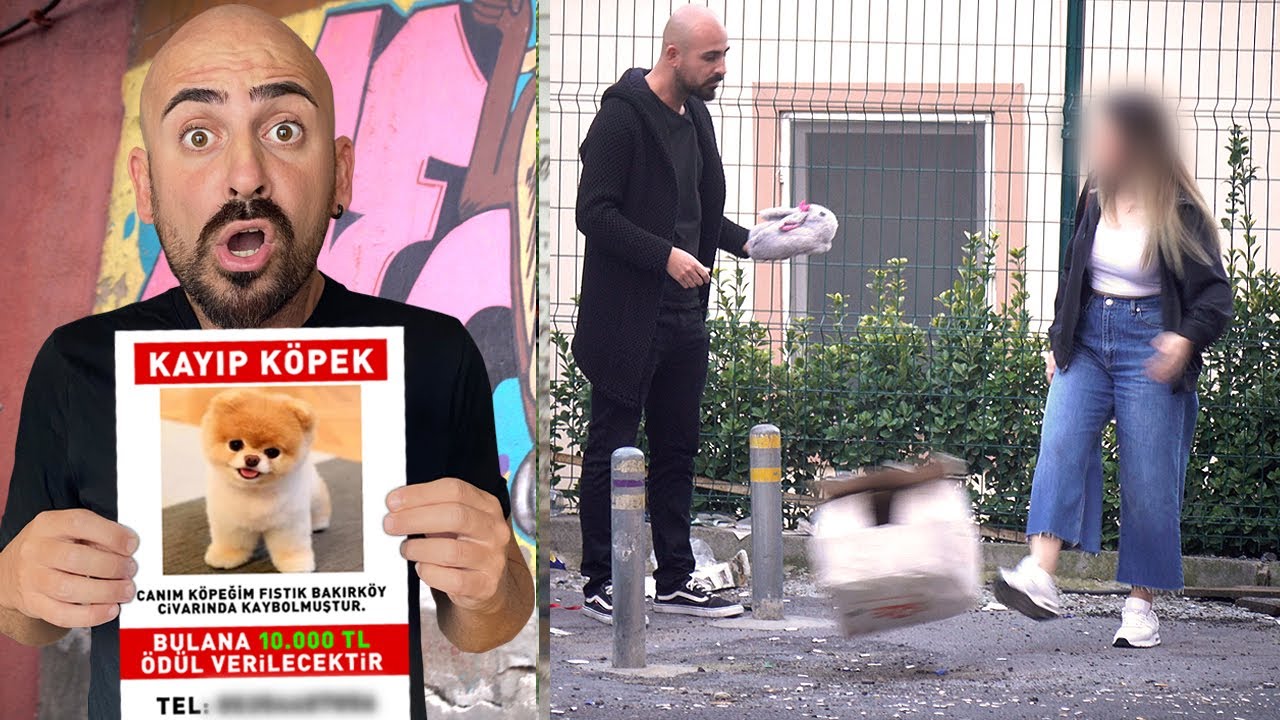 KAYIP KÖPEK İLANIYLA YALANCILARI YAKALADIM !