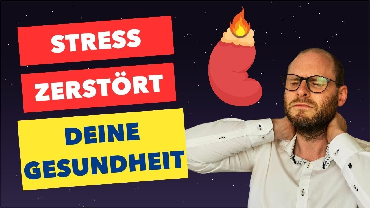 Chronischer Stress? - So verhinderst du das Ausbrennen deiner Nebennieren
