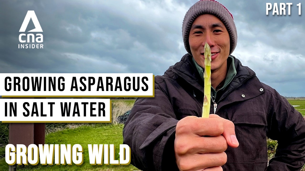 My Quest To Build A Floating Farm On The Sea | Growing Wild: Project Castaway - Part 1/3