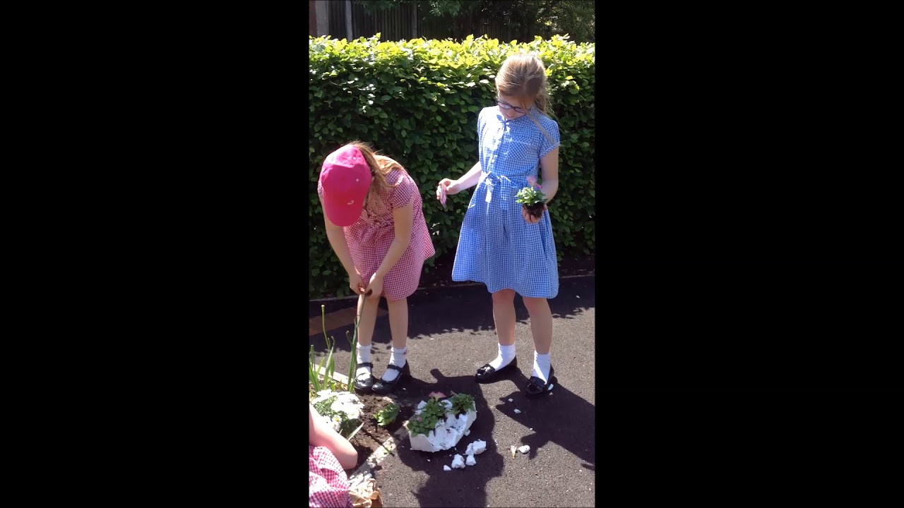 School Grounds Day 2015