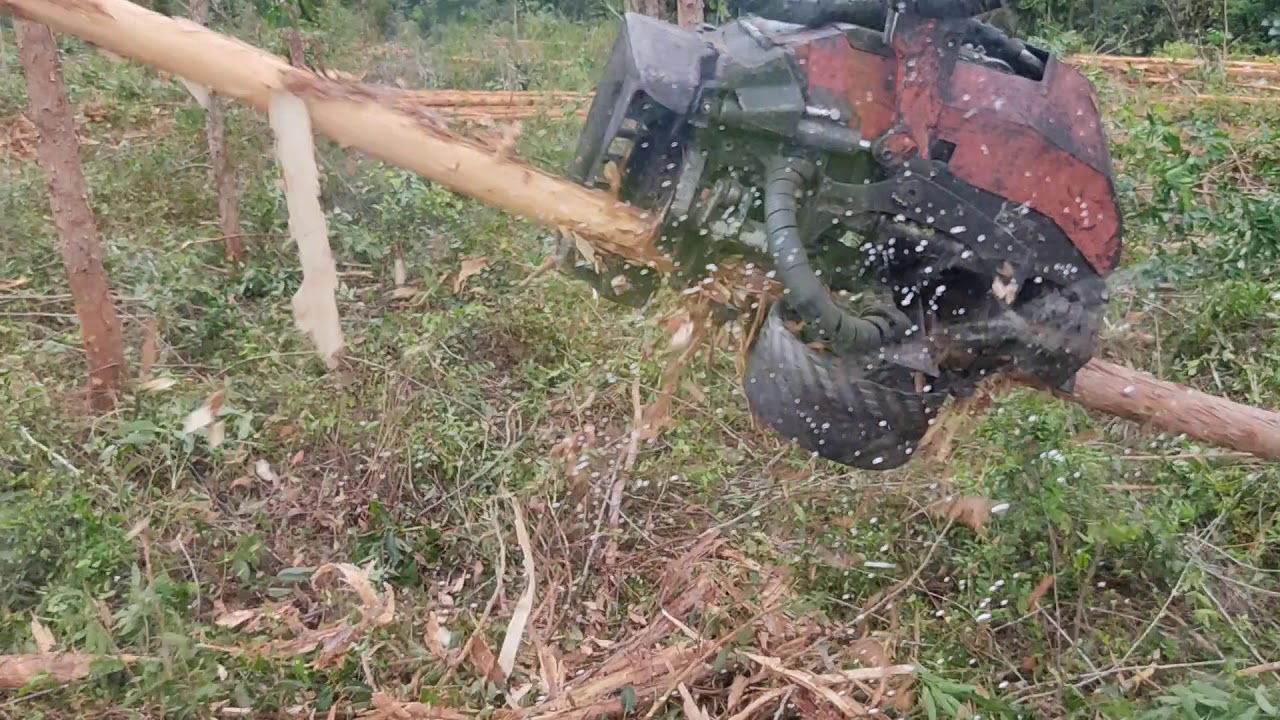 Operação Harvester termino de eito normal , início de uma costela.