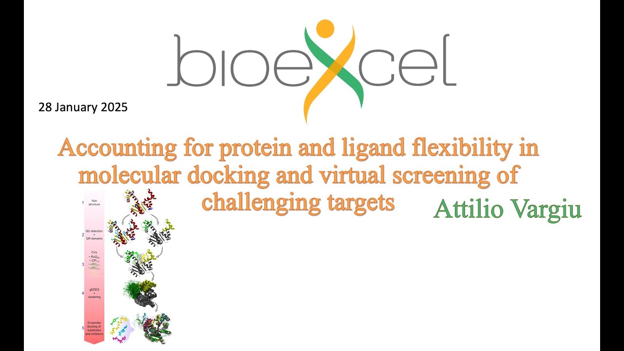 Вебинар Bioexcel № 80. Учет гибкости белка и лиганда при молекулярном докинге.