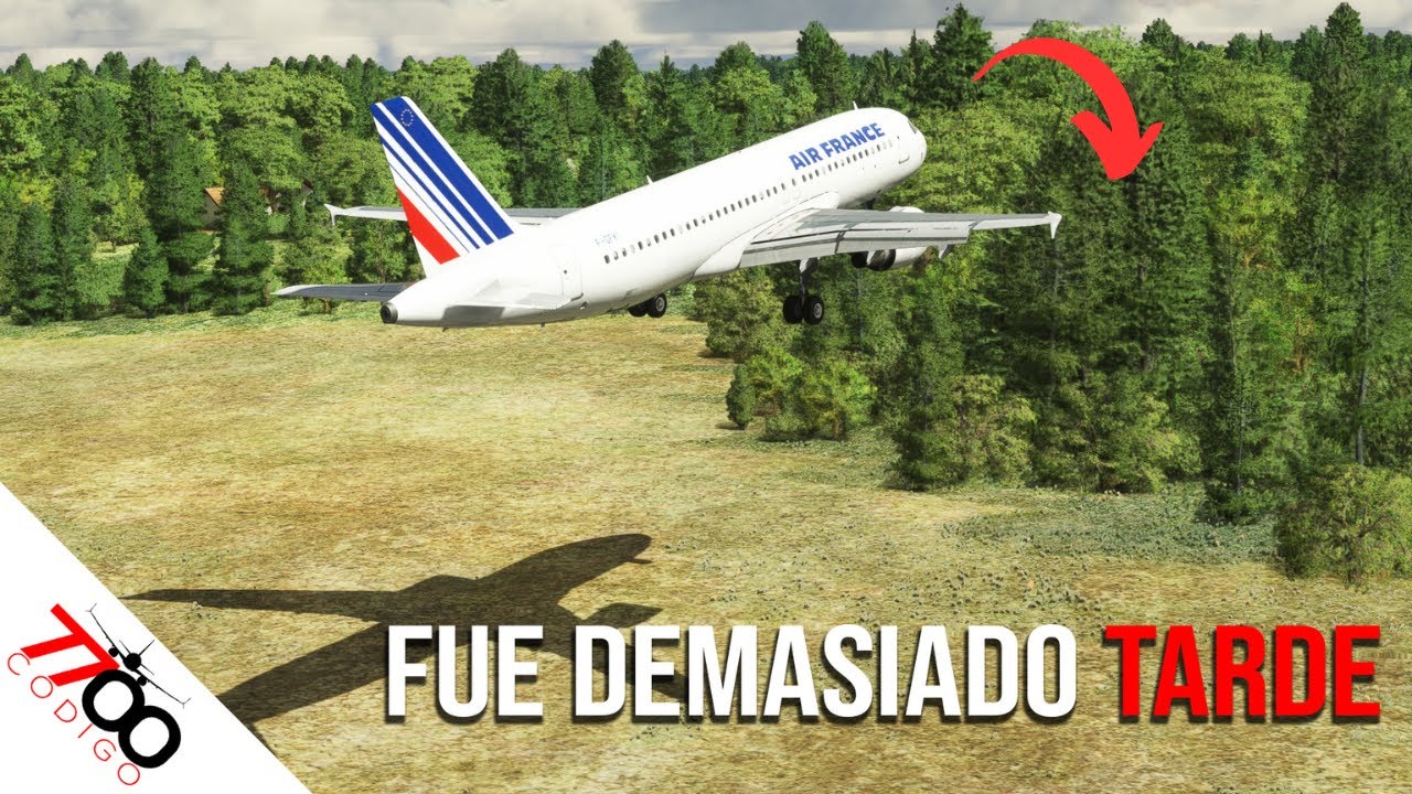 Un Airbus A320 se ESTRELLA durante un espectáculo aéreo | Vuelo 296 de Air France