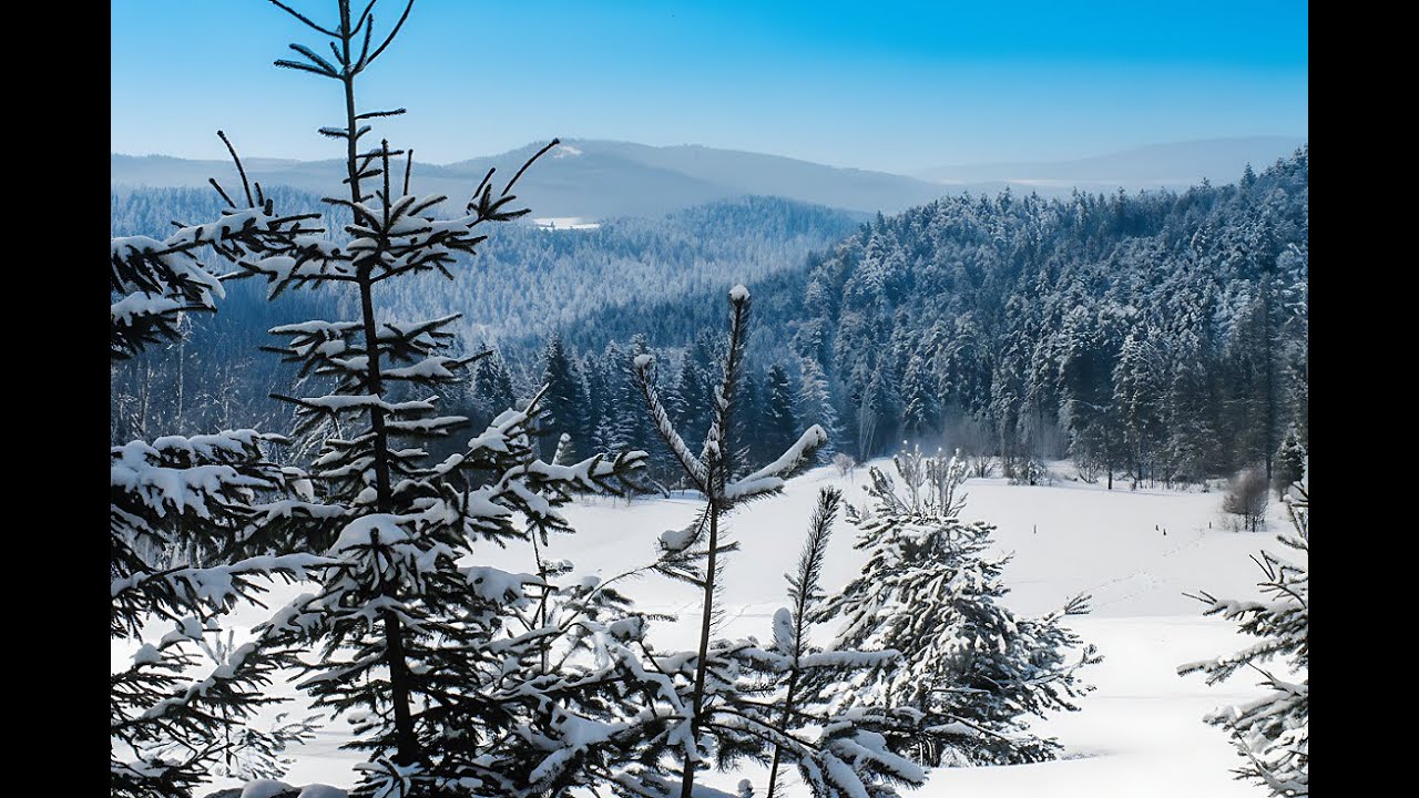 4K Pictures of my World #103 ❄💖❄