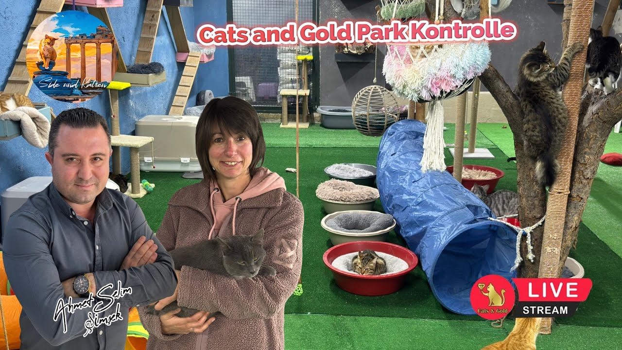 Cats and Gold Park Kontrolle