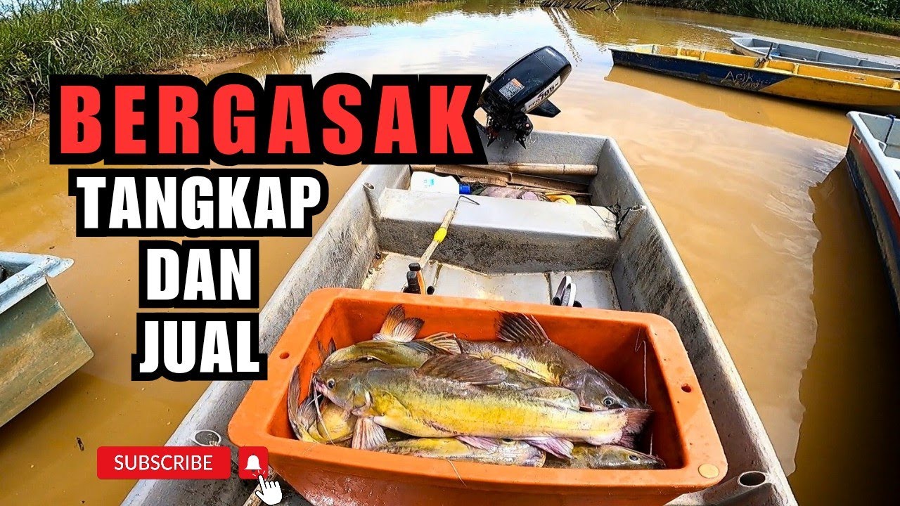 BERGASAK HASIL BUBU IKAN BAUNG #vlog173 #unlimitedhobby #unlimitedfishing