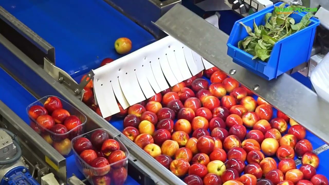 2024 - ESPAX (SPAIN) - Stone Fruit