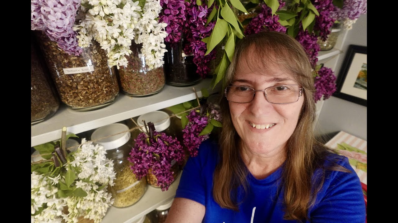 Lilac Preserving Dehydrating Drying Uses #lilacs #potpourrioflife #aromatherapy
