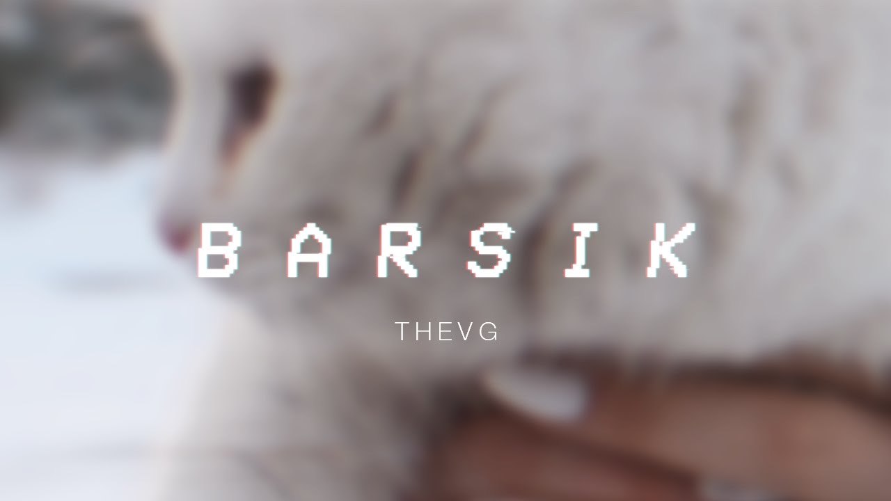 B A R S I K &times; T H E V G