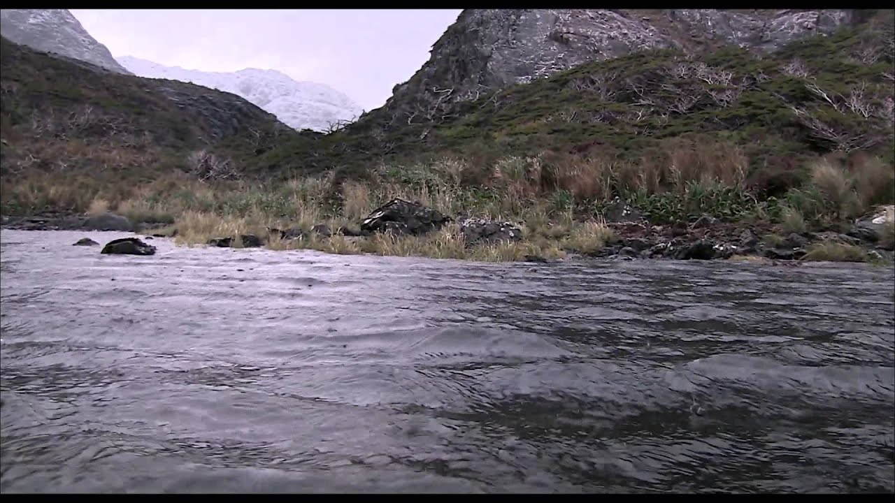 El botón de nácar - Tráiler