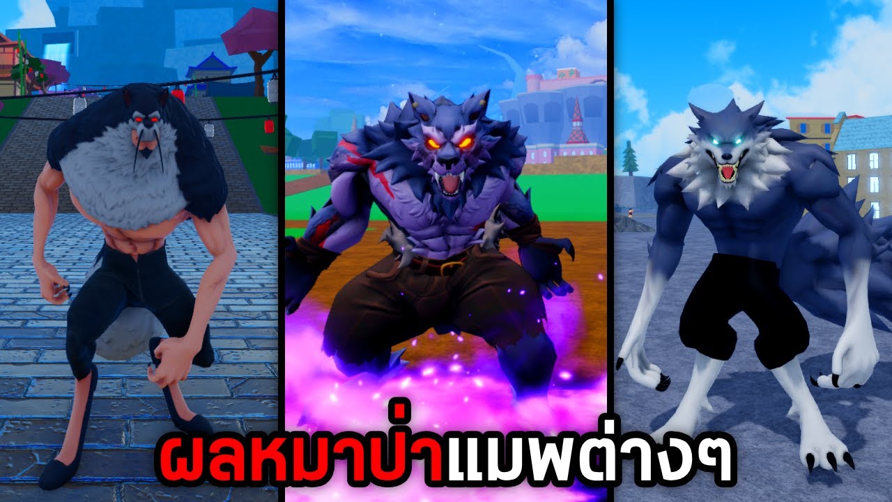 นี่คือผลหมาป่าในแมพวันพีชต่างๆ Roblox
