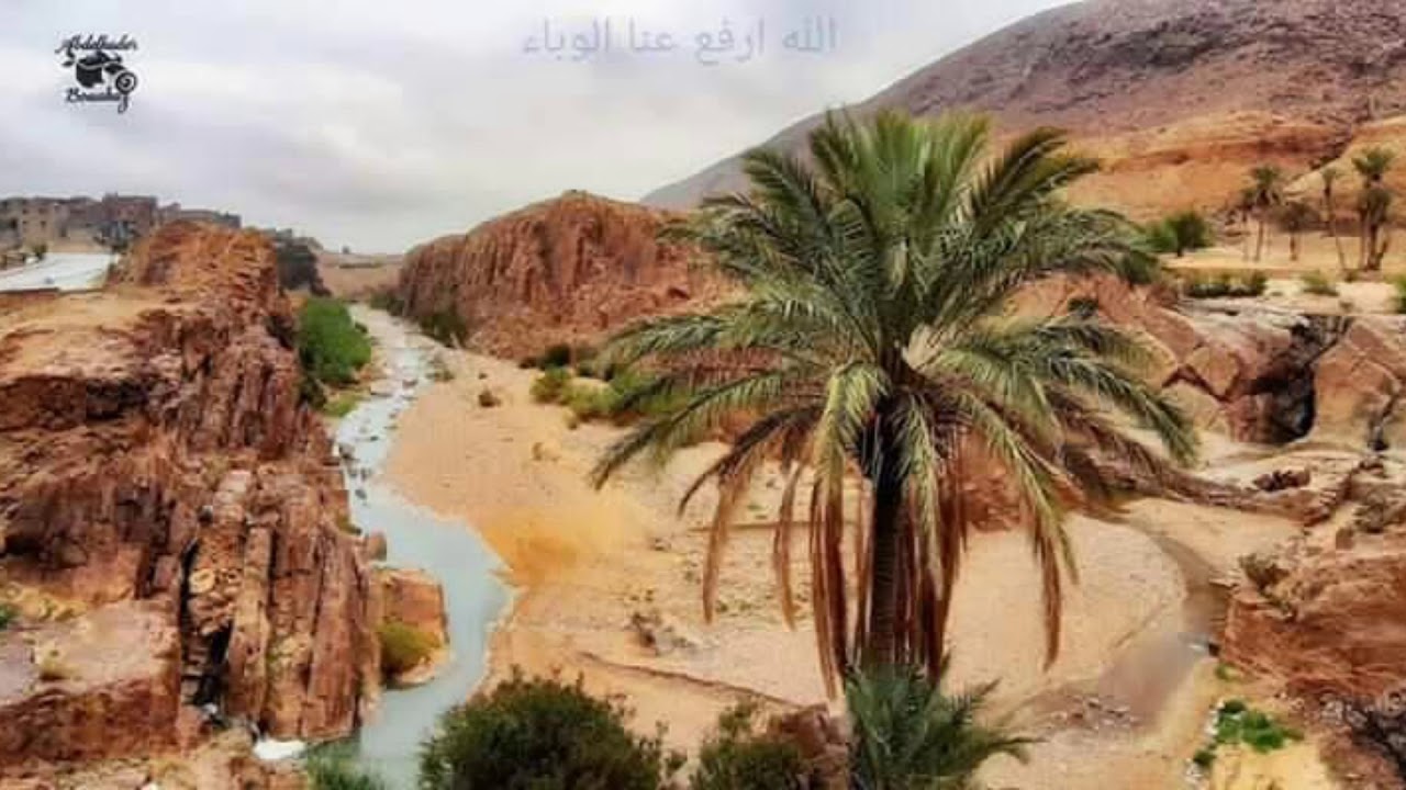 الشيخ عبدوا في قصيدة ياحنان يامنان