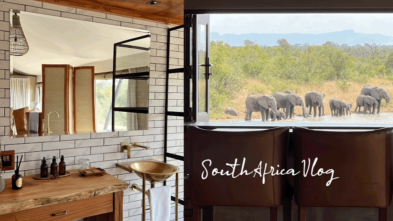 남아공(2) | 아프리카 여행, 요하네스버그, 크루거내셔널파크, 사파리 투어, Timbavati Private Nature Reserve, Thabamati Tented Camp