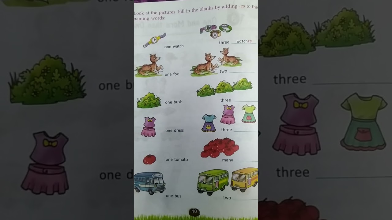 One and Many-- Singulars and Plurals