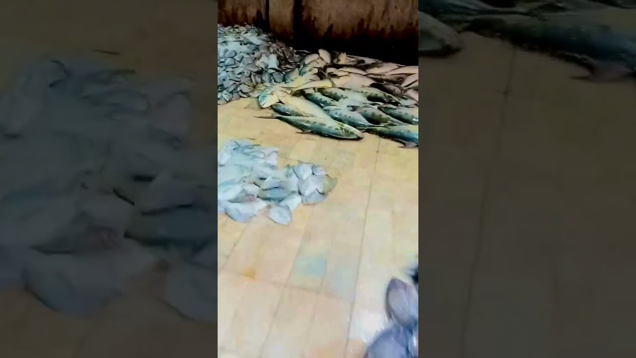 Karachi fish harbar #machli market