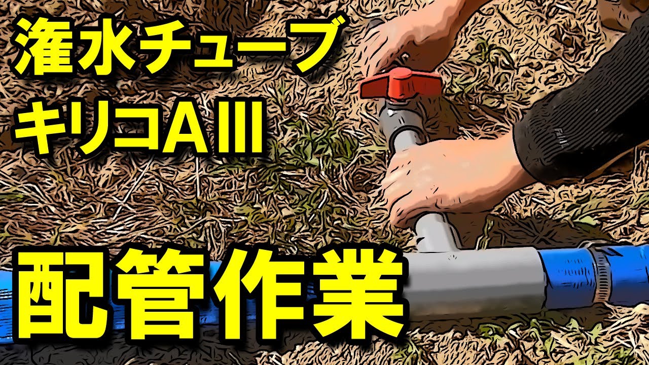 潅水チューブ・キリコＡⅢ　配管作業の様子（取水口～潅水チューブ）