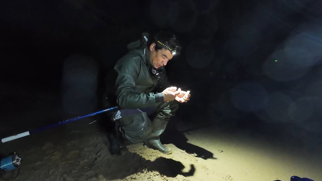 Le SURFCASTING c'est LA VIE !! P&ecirc;che de nuit aux app&acirc;ts sur la plage