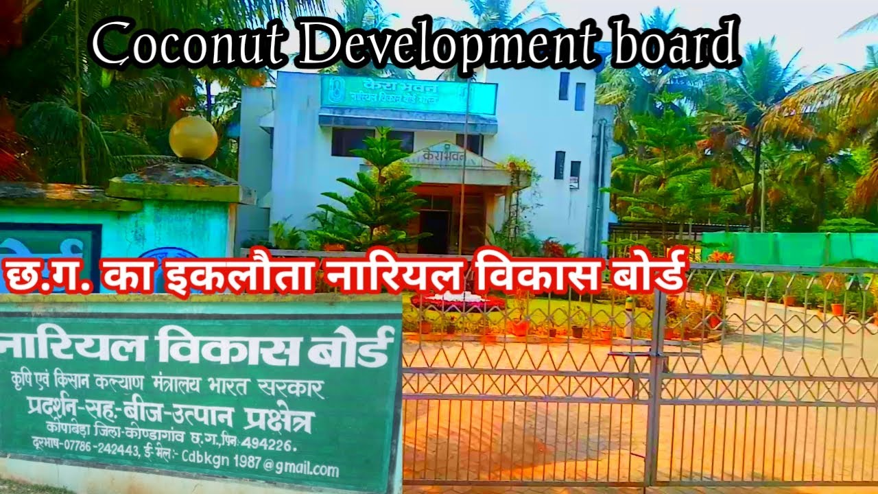 Coconut development board | नारियल विकास बोर्ड | Coconut development board Kondagaon Chhattisgarh