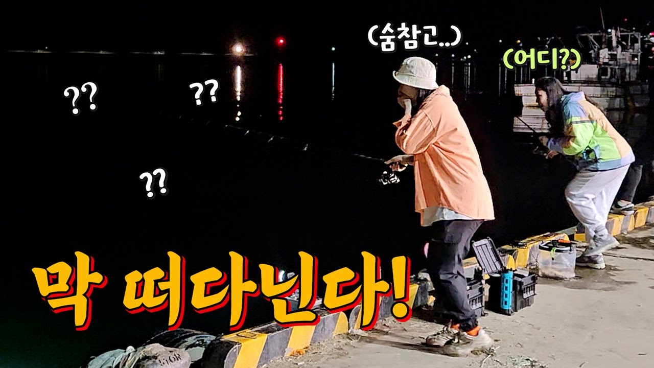 포항 양포항은 두족류 집합소! 그리고.. 좋은? 분들도 만날 수 있습니다.