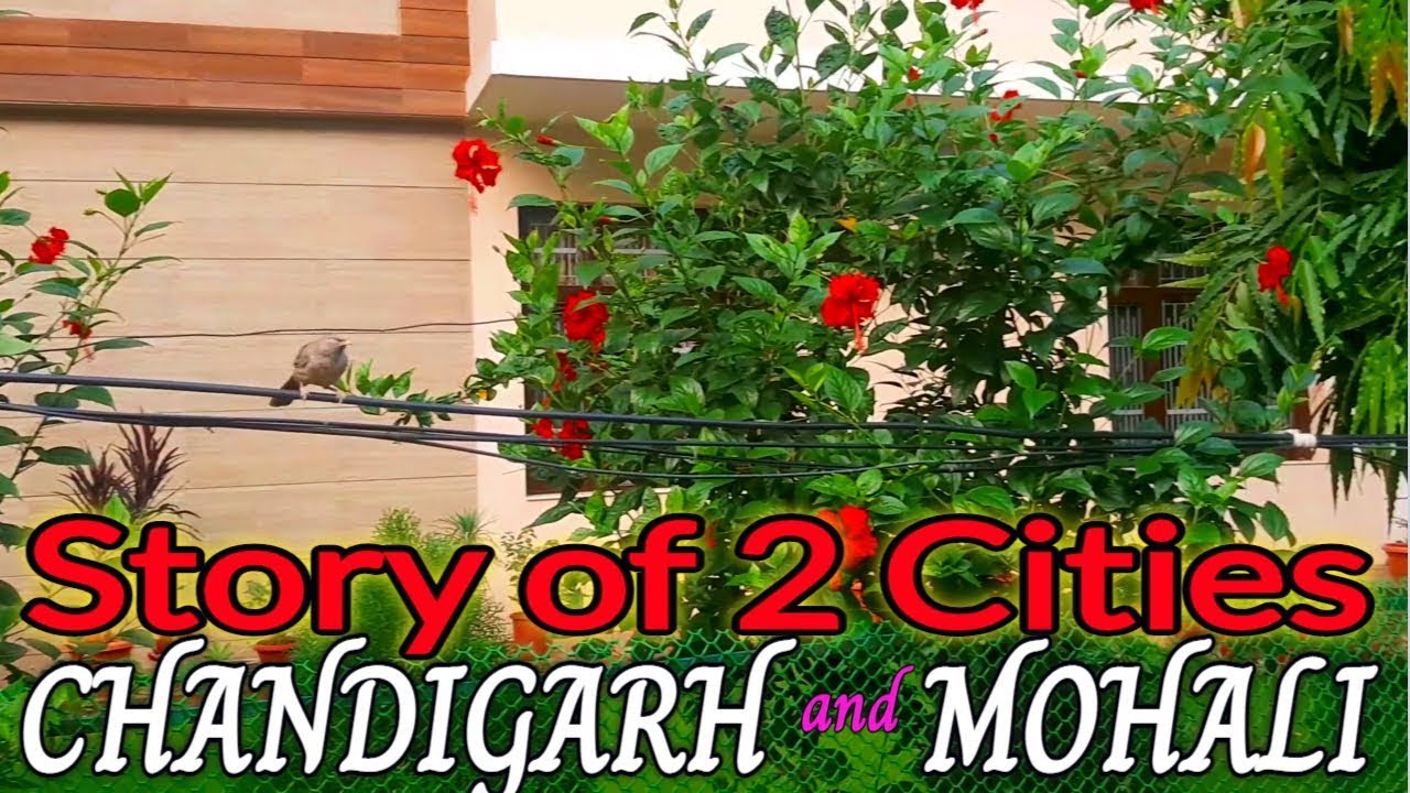 Story of Two Cities&mdash;Chandigarh and Mohali | A Walking Tour by Ami Ce | Chandigarh by Walk |4K