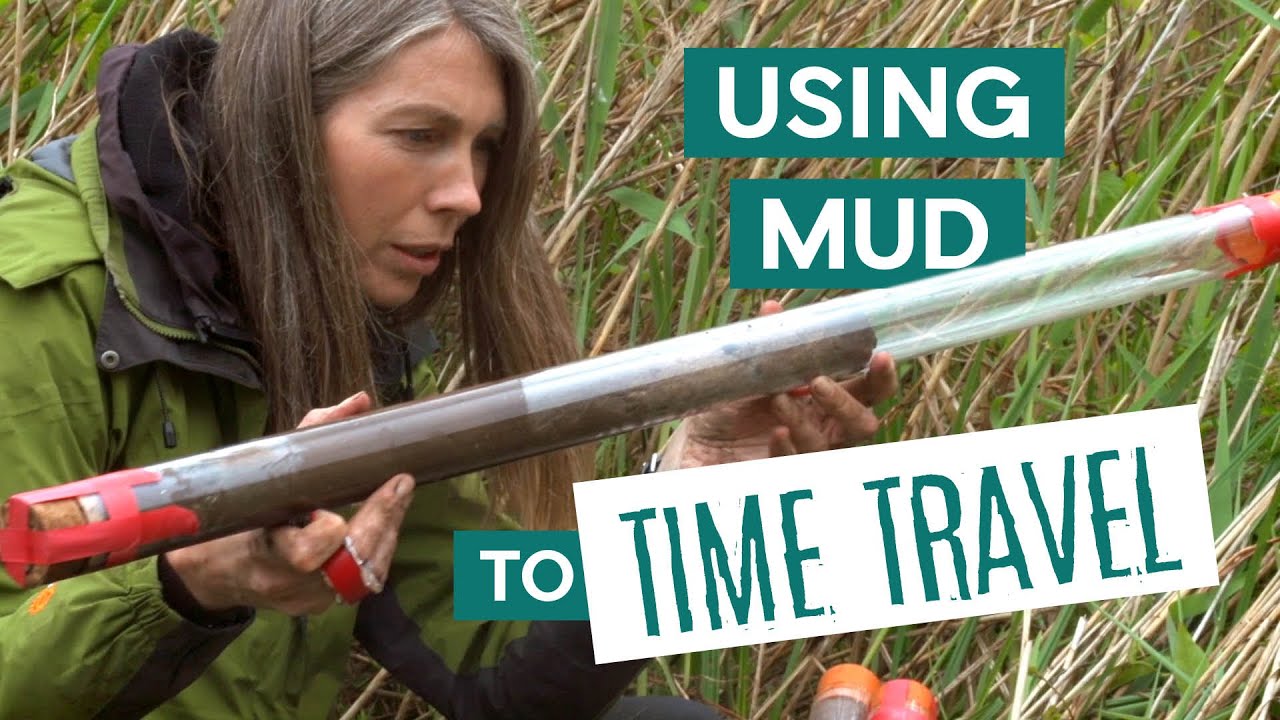 Using Mud to Time Travel | Wytham Woods