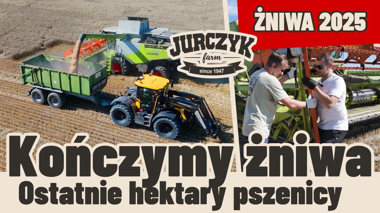 86. Żniwa 2025 – Finał! 🚜 Zbieramy ostatnią pszenicę