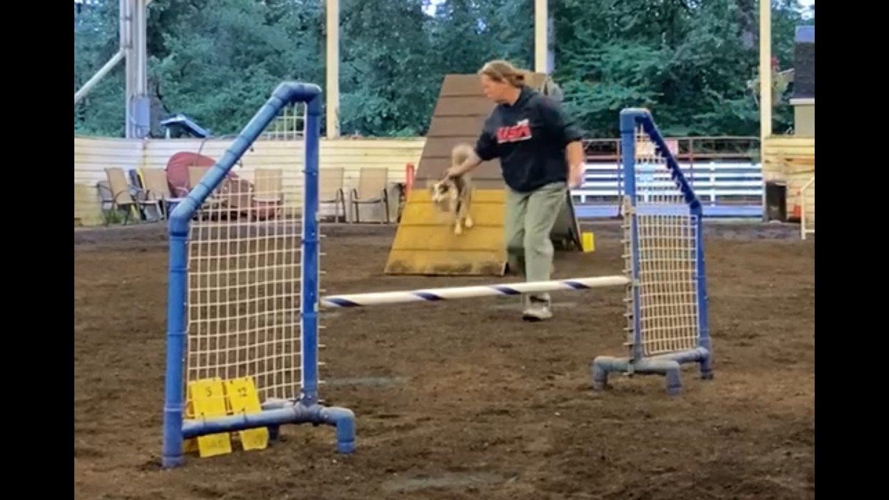 A frame Exit Training