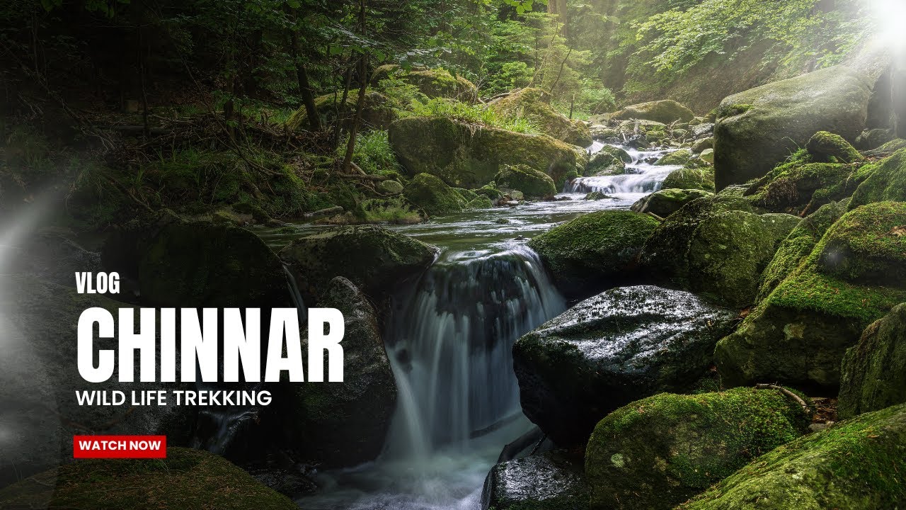 Chinnar to  Pambar  Trekking  Welcome to My First Vlog! | Chinnar Wildlife Sanctuary  &ndash; Part 1