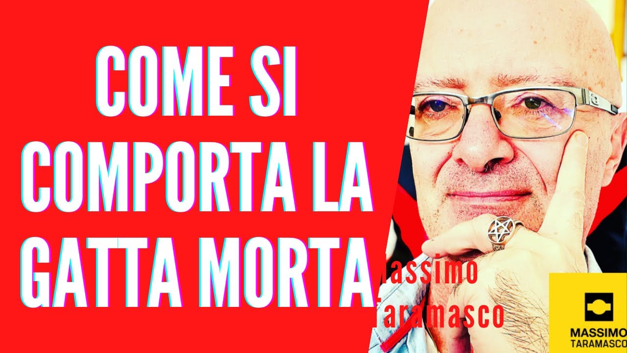 COME SI COMPORTA LA GATTA MORTA