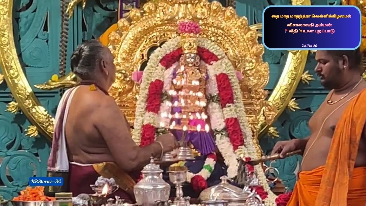 Vlog 443 🪔💫தை மாத மாதந்த்ரா வெள்ளிக்கிழமை🌸 விசாலாக்ஷி அம்மன் 🚩 வீதி ✨உலா புறப்பாடு #ammanvalipadu