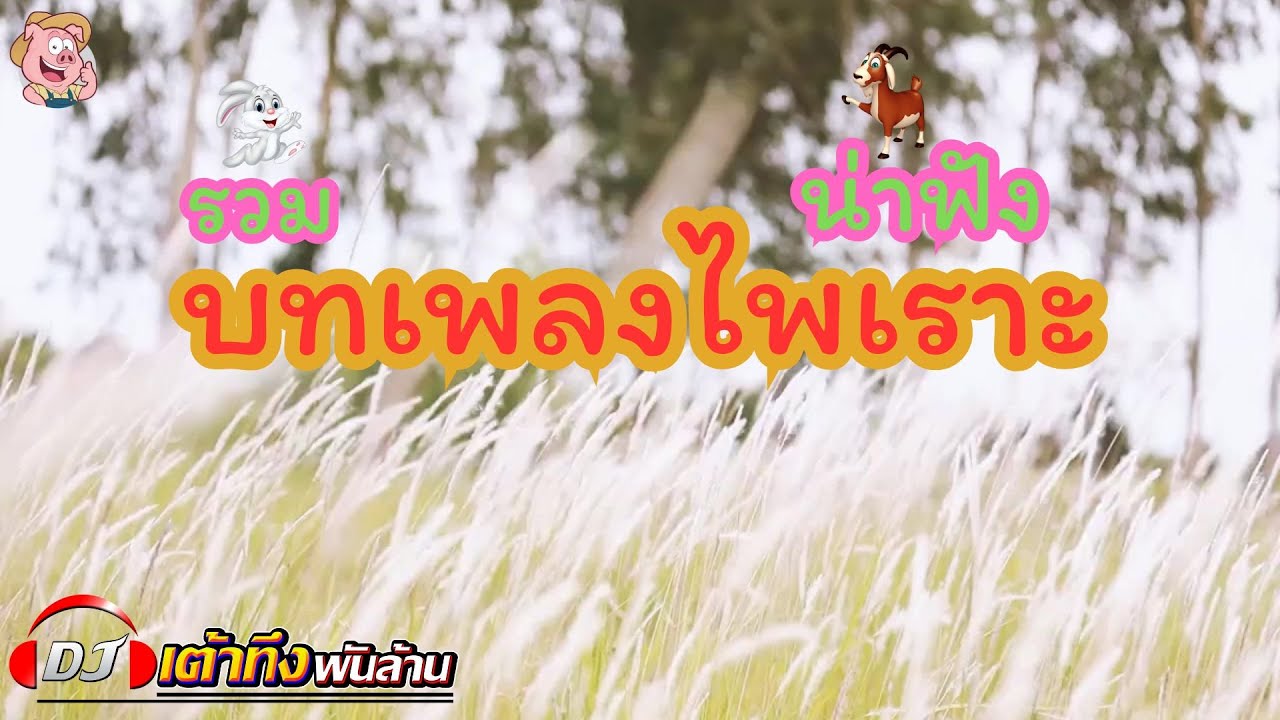 อัลบั้มรวมบทเพลงไพเราะ น่าฟัง     #เพลงเพราะ    #รวมเพลงเพราะ    #ลูกทุ่ง