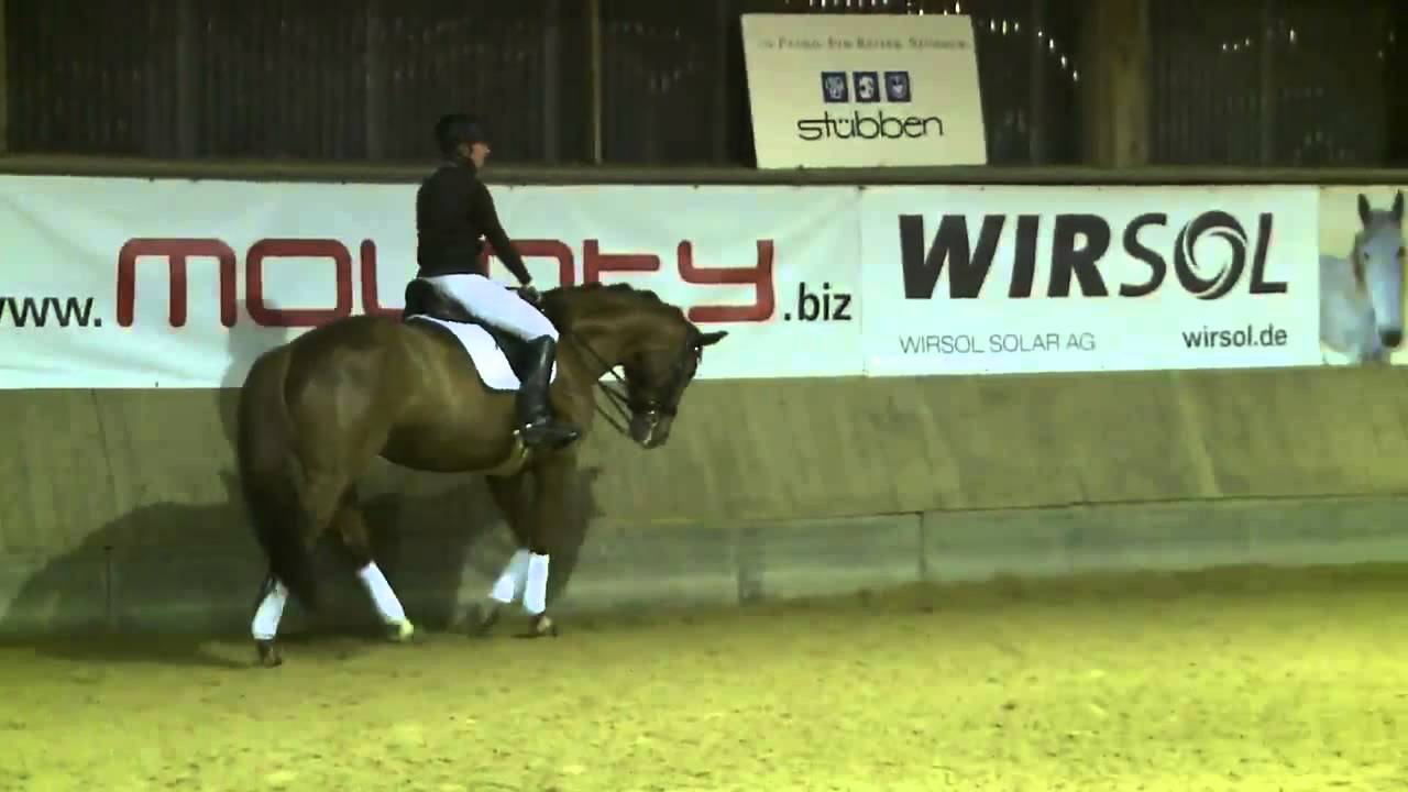 Klaus Balkenhol in Stuttgart, Leonberg - Teil 1d