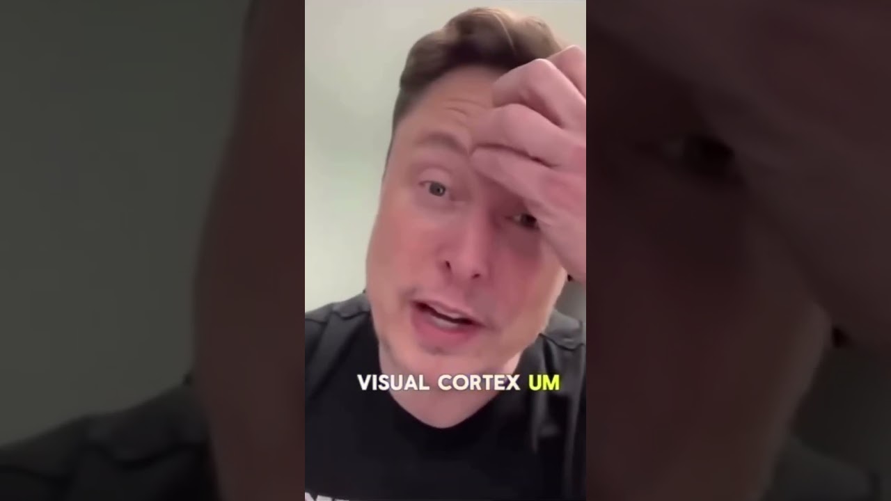 Elon:  Blindness soon be optional.Vision written to brain.Infrared.Ultraviolet.Beyond human sight.