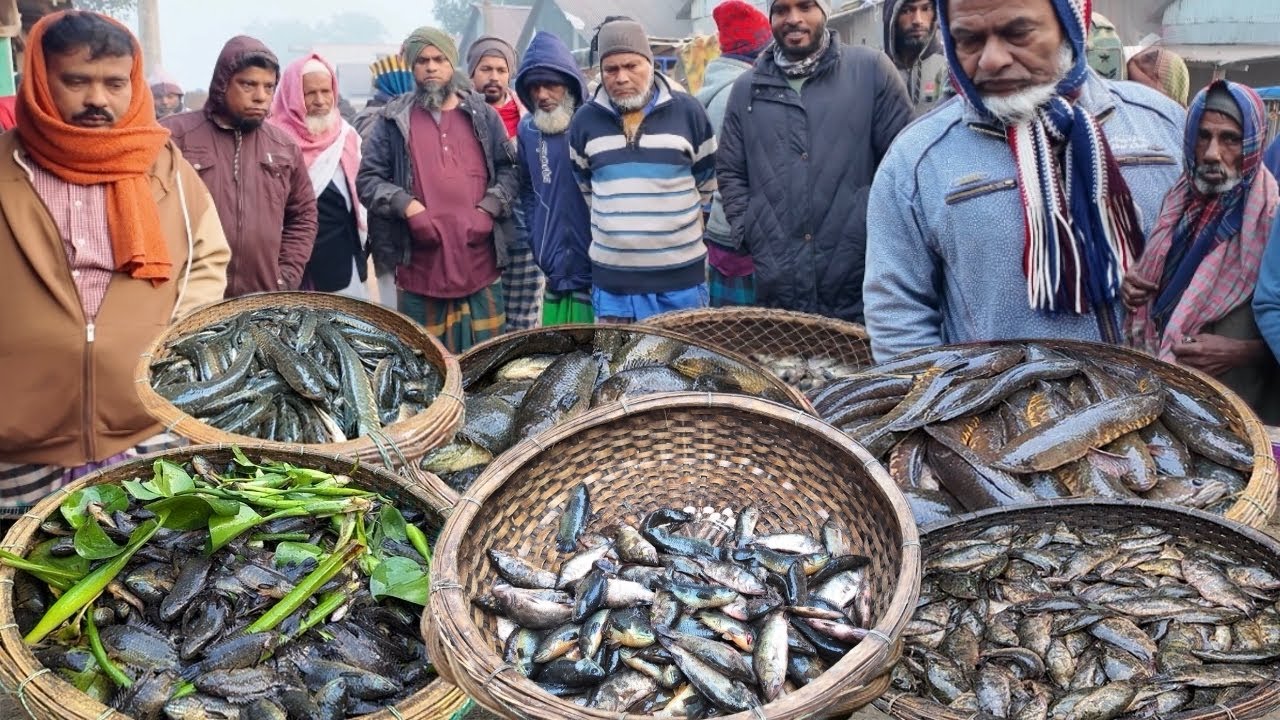 আপনার কাছে যদি কিছু টাকা থাকে তাহলে আপনি ও বিলের মাছ কিনতে পারবেন! Village fish market dohar dobli