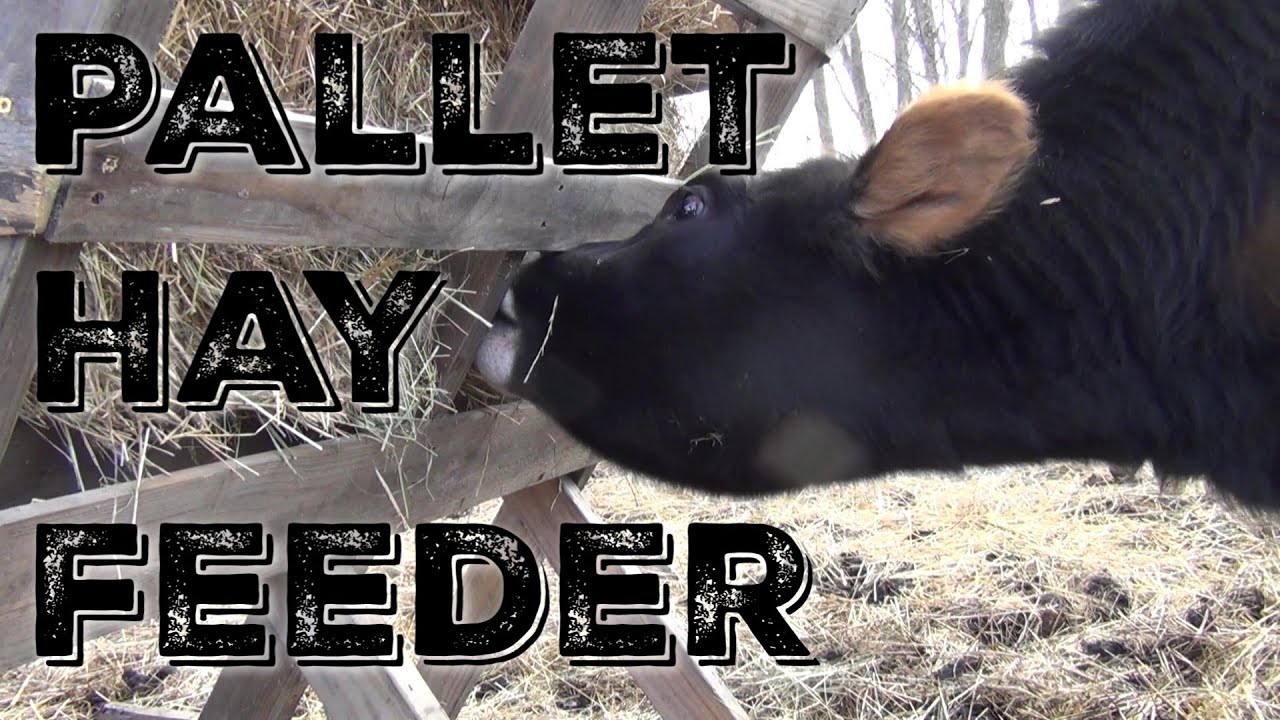 How To Build The 3 Pallet Hay Feeder