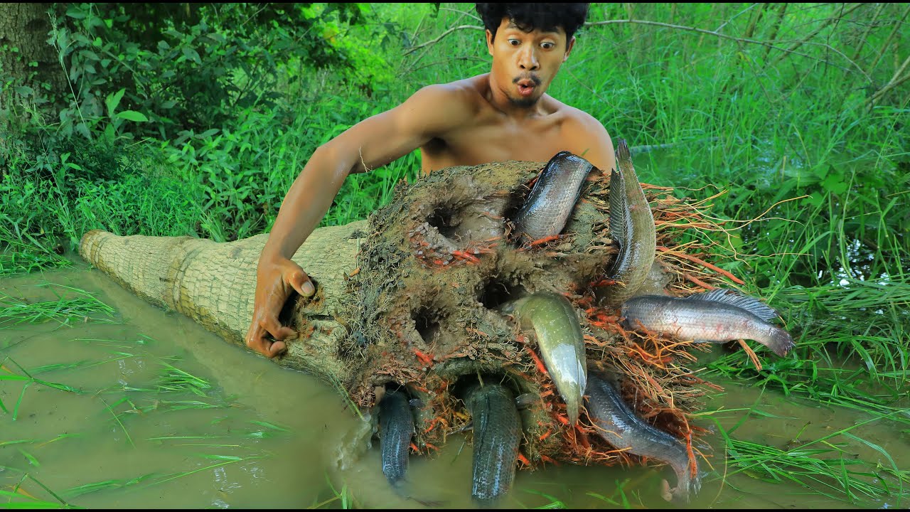 life in jungle - wow Strange