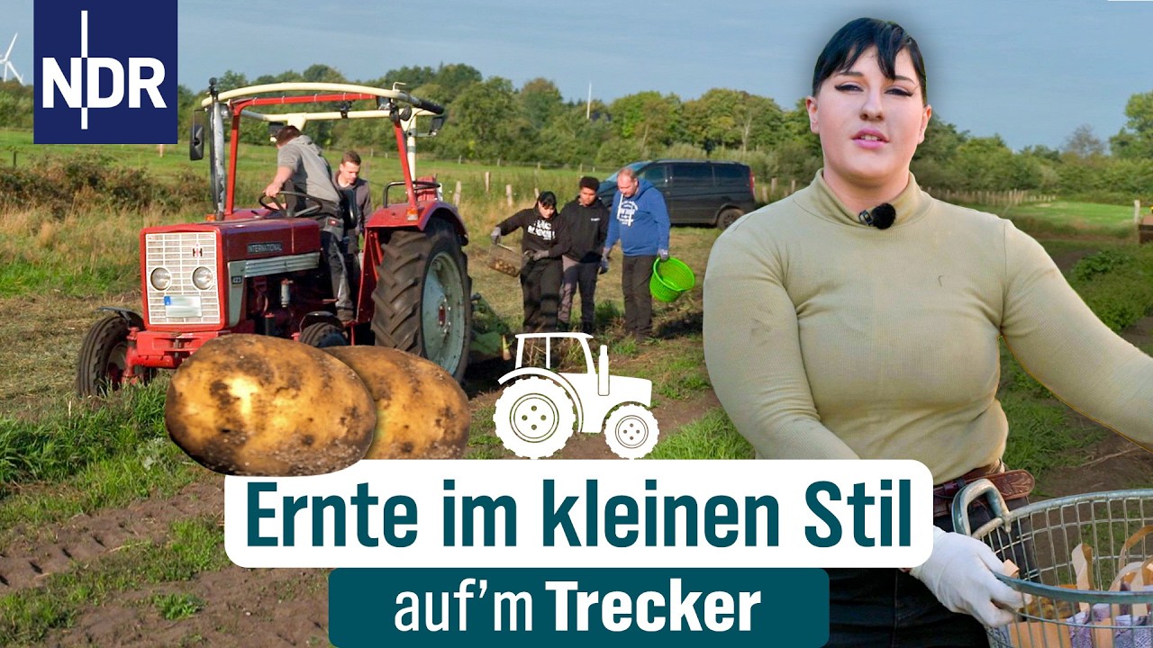 Handarbeit statt Hightech-Roder - Nele erntet die letzten Kartoffeln | Auf‘m Trecker Folge 59 | NDR