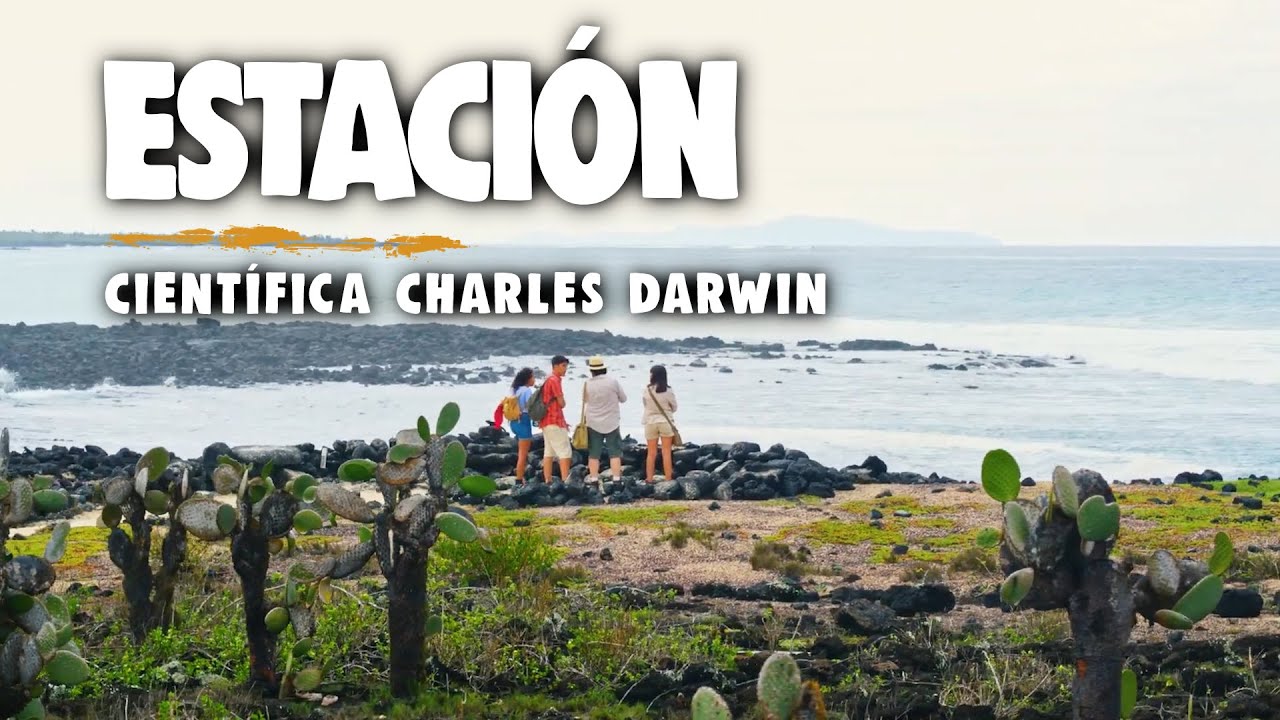 ¿Cómo es la Estación Científica Charles Darwin en Galápagos? 🦩🐢