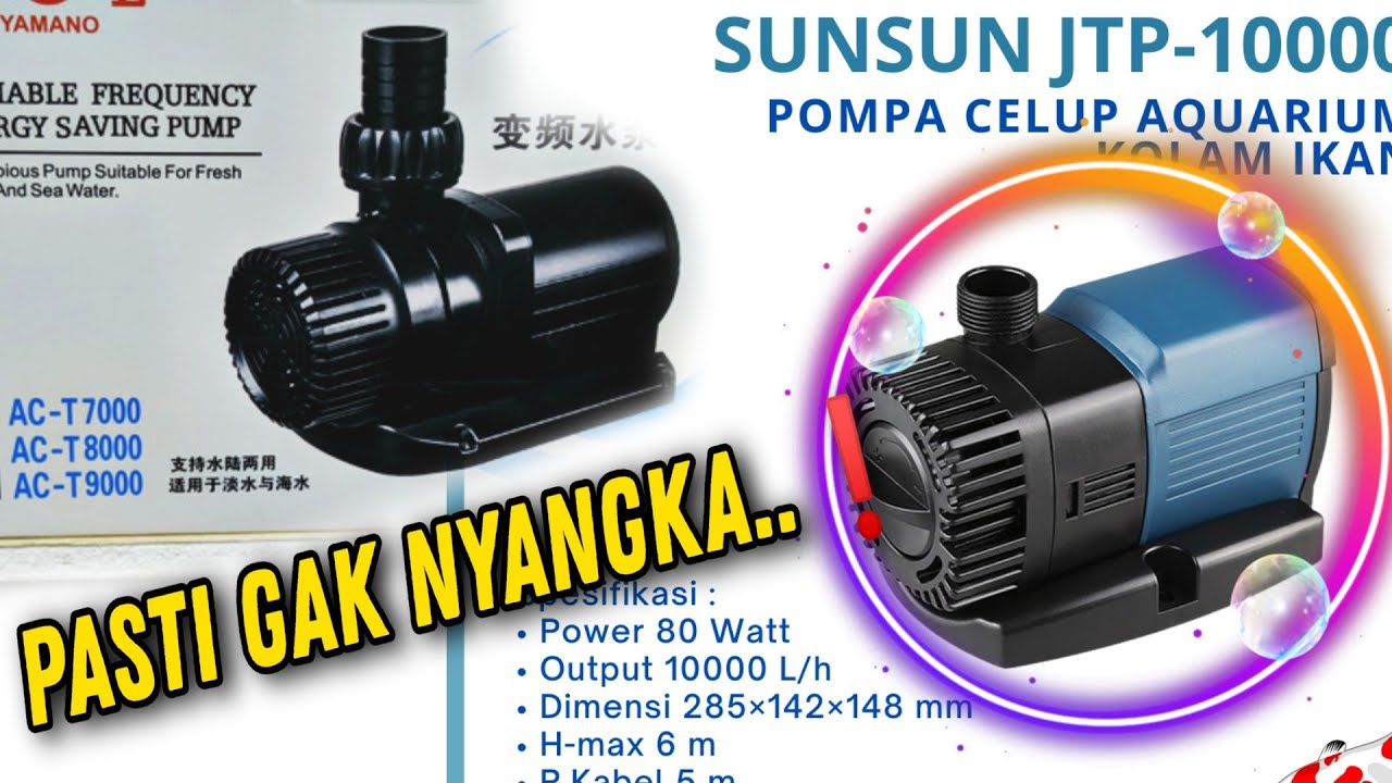PERLU TAU POMPA YAMANO ACT 9000 DAN SUNSUN JTP 10.000 LPH SEBELUM MEMBELINYA #kolamkoi #ikankoi