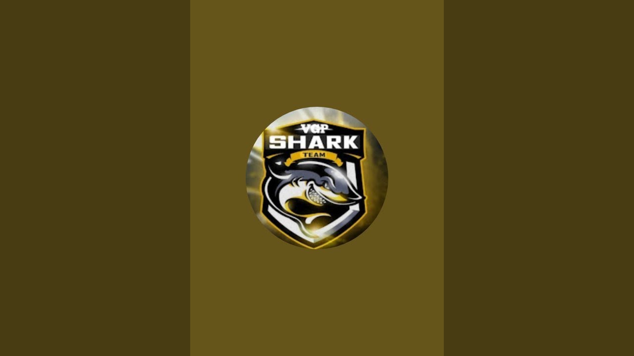 VGP SHARK  এখন লাইভ!
