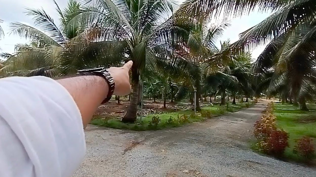 99% ไม่มีคนรู้   ใช้เงินหลักพัน  ซื้อที่ดินราคาหลักล้าน