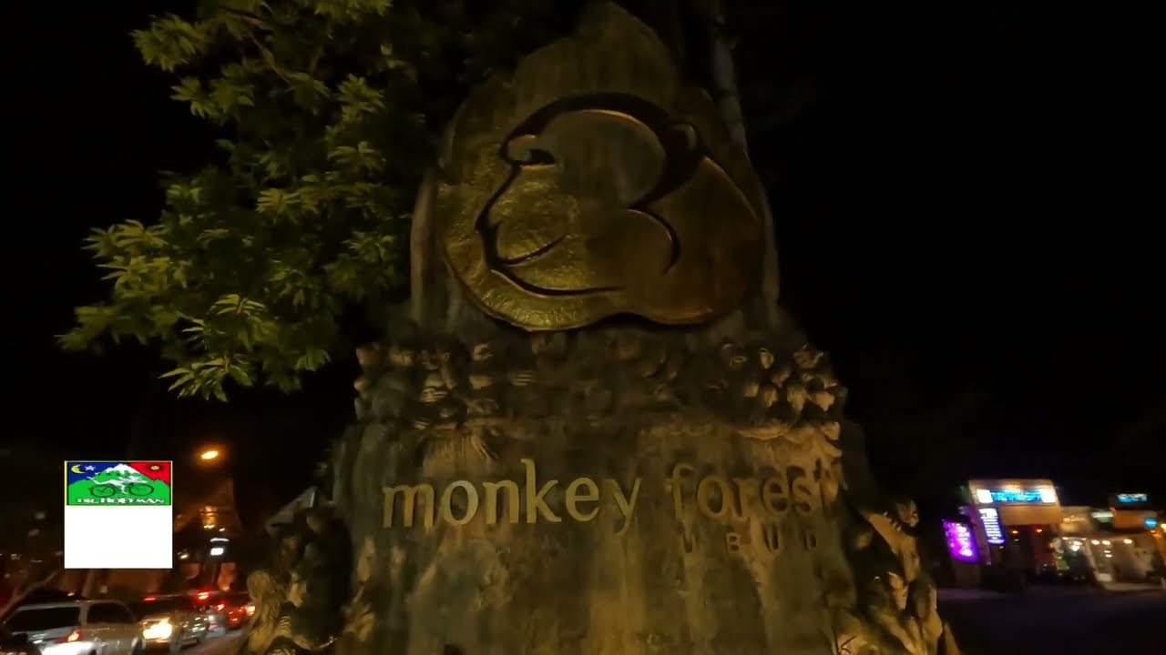 Monkey Forest Night walk at UBUD, BALI Indonesia 4K🇮🇩