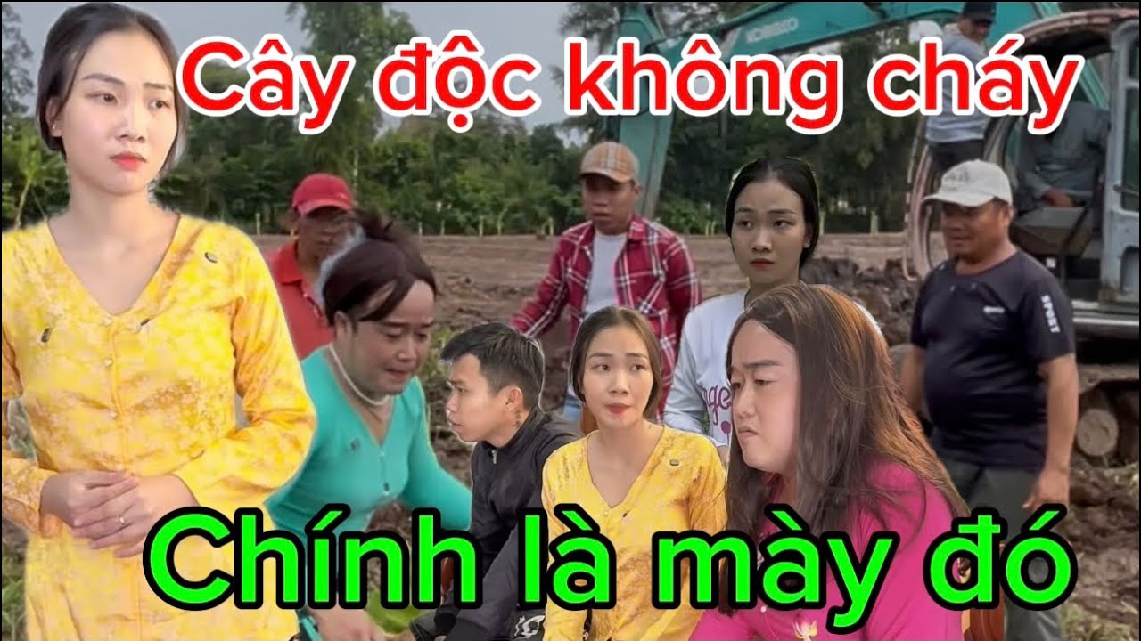Cây độc không cháy.gái độc không con chính là mày đó ￼bà cố ơi 