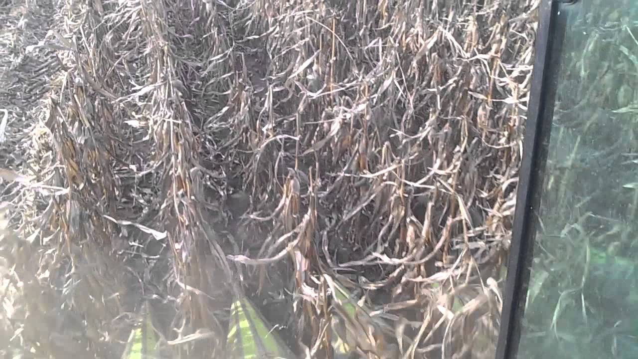 CLAAS MEGA 204 CUKIC JARAK KUKURUZ