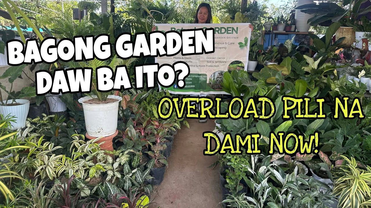 JACKPOT DAMING MABIBILI DITO!#BETYAHGARDEN #gardentour #flowers 