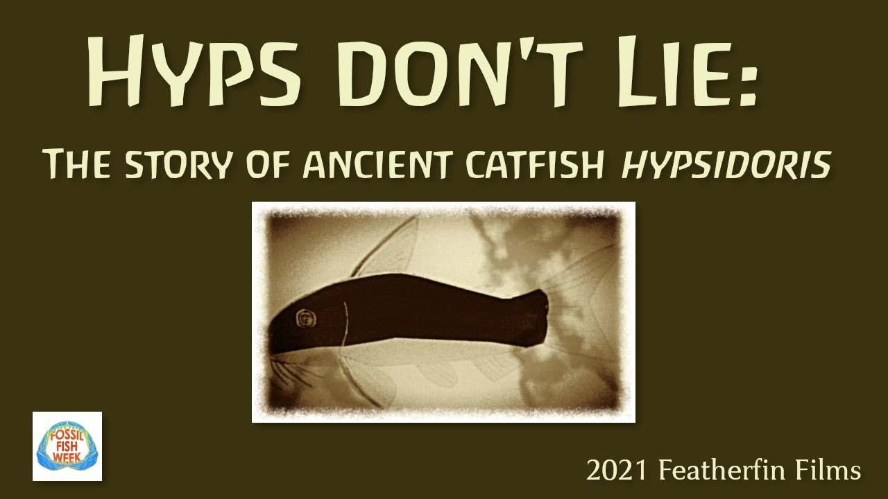 Hyps Don't Lie: The Story of Ancient Catfish Hypsidoris #FossilFishWeek