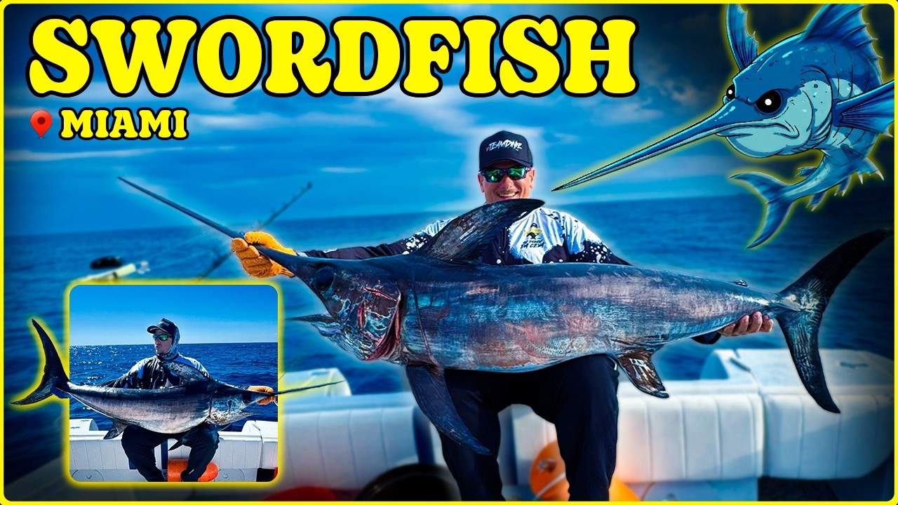 FUI PESCAR SWORDFISH EM MIAMI! 🔥 QUE PEIXE SINISTRO! 🔥 [DINIZPESCA]