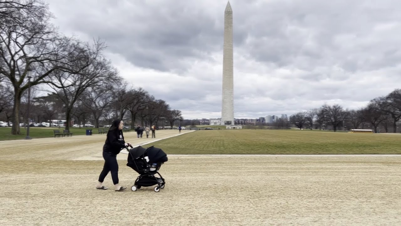 Baby Flare's FIRST ADVENTURE