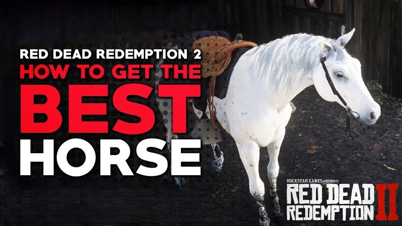 best horse in red dead redemption 2