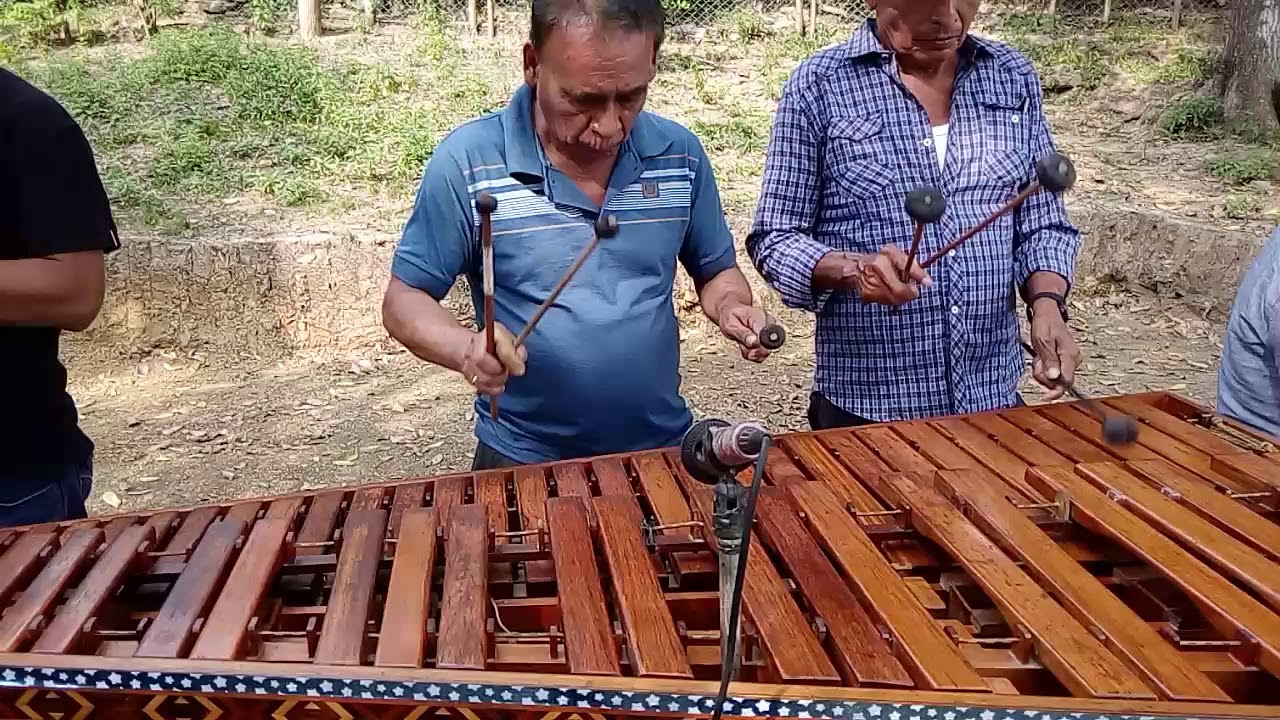 Marimba la nueva estrella de Raúl Bernardino